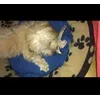Ottimo per Lucky 