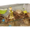 Perfect for my mice cage