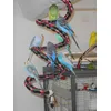 Les joies de la spirale en coton