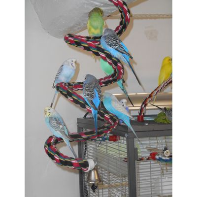 Les joies de la spirale en coton