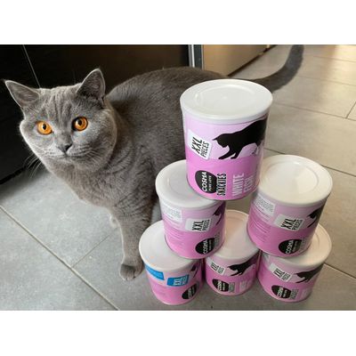 Meine liebsten Leckerlis