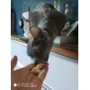 Romee et se friandises
