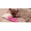 Pinky love