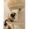 Naya
