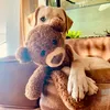 Nacho y Oso