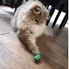 Kat is blij