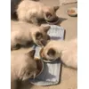 Dinner time 