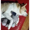Sie liebt es