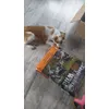 Lucky