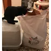 Produktcheck