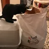 Produktcheck
