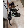 Morning feeding 