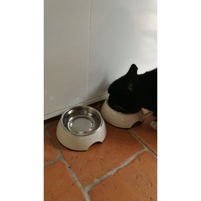 Minette