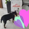 Bess