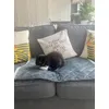 Mia loves relaxing on her new blanket 