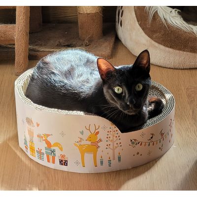 Raton en su nueva cama-rascador