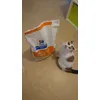 chat cool