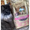 PIENSO IDEAL PARA GATOS SELECTIVOS