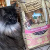PIENSO IDEAL PARA GATOS SELECTIVOS