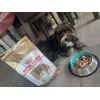  Royal Canin 