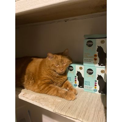Kiro