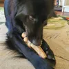 Chewies antler