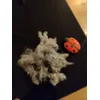 Incroyable cette brosse je recommande 