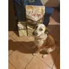 A Sasha piacciono tantissime 