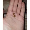 Kleines Futter