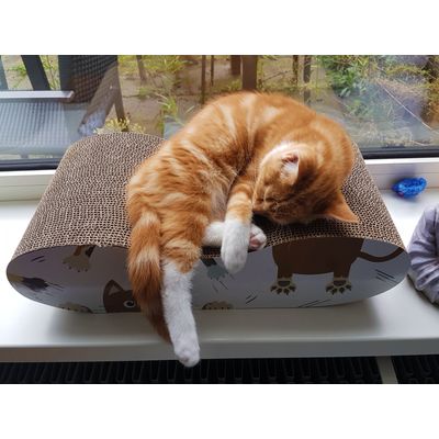 Jasper doet een dutje