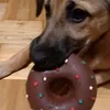donut