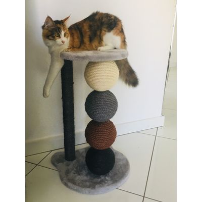 Priscilla sul tiragraffi