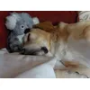 Nighty night