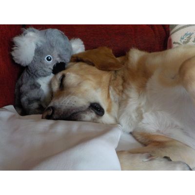 Nighty night