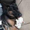 Tess et sa nouvelle copine