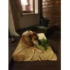 I love you too Ali