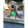 Spike met Spiky Ball