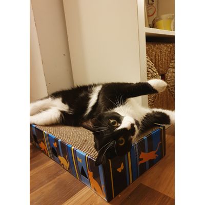 Perfect spot