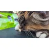 Test bestanden