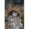 Olivia loves this tunnel