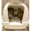Catit Jumbo