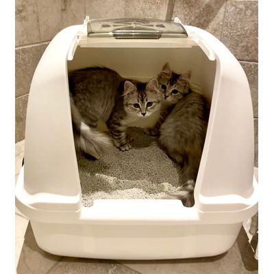 Catit Jumbo