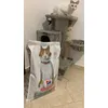 Hills gato 