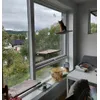 Trepaarad