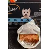 cesar