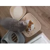 Wiskas auf die 1