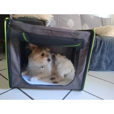 Perfetto per i viaggi