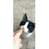 Sticky 