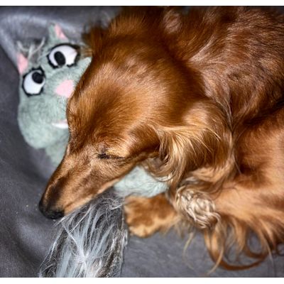 Sleeping buddy