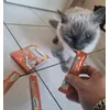 Kitty et moon 